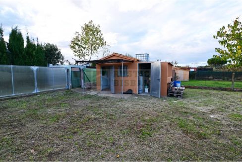 995275_60068399719_8f8fe946-35ff-41ac-8616-765a386a1c7b