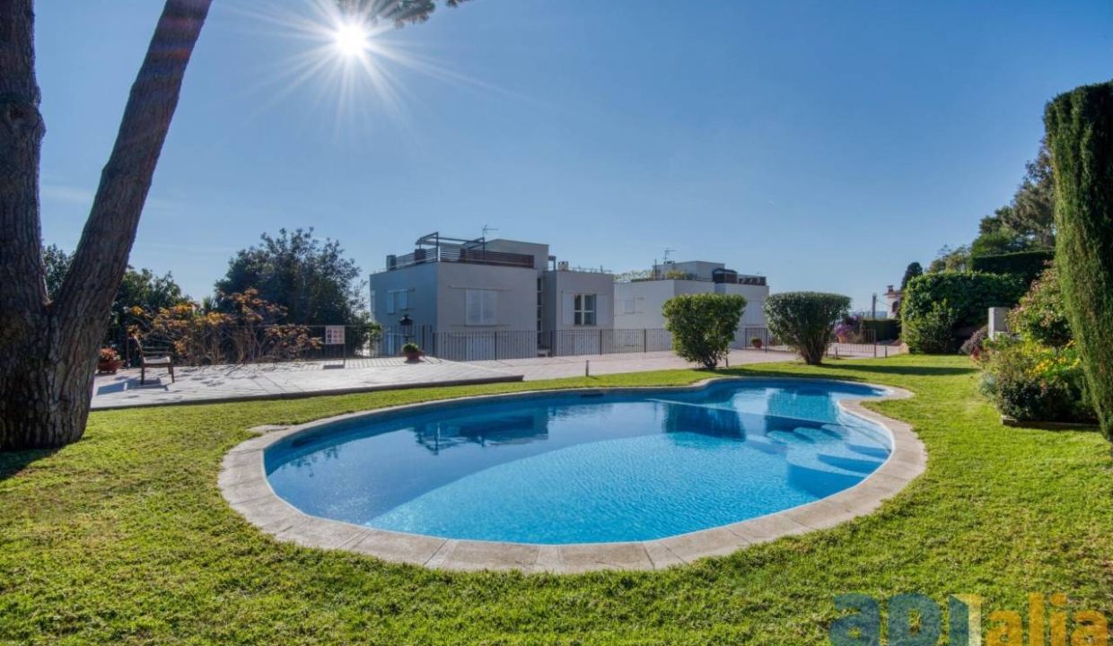 995275_60088186986_7c887310-af74-4f6b-901b-86c7b5f64ea8