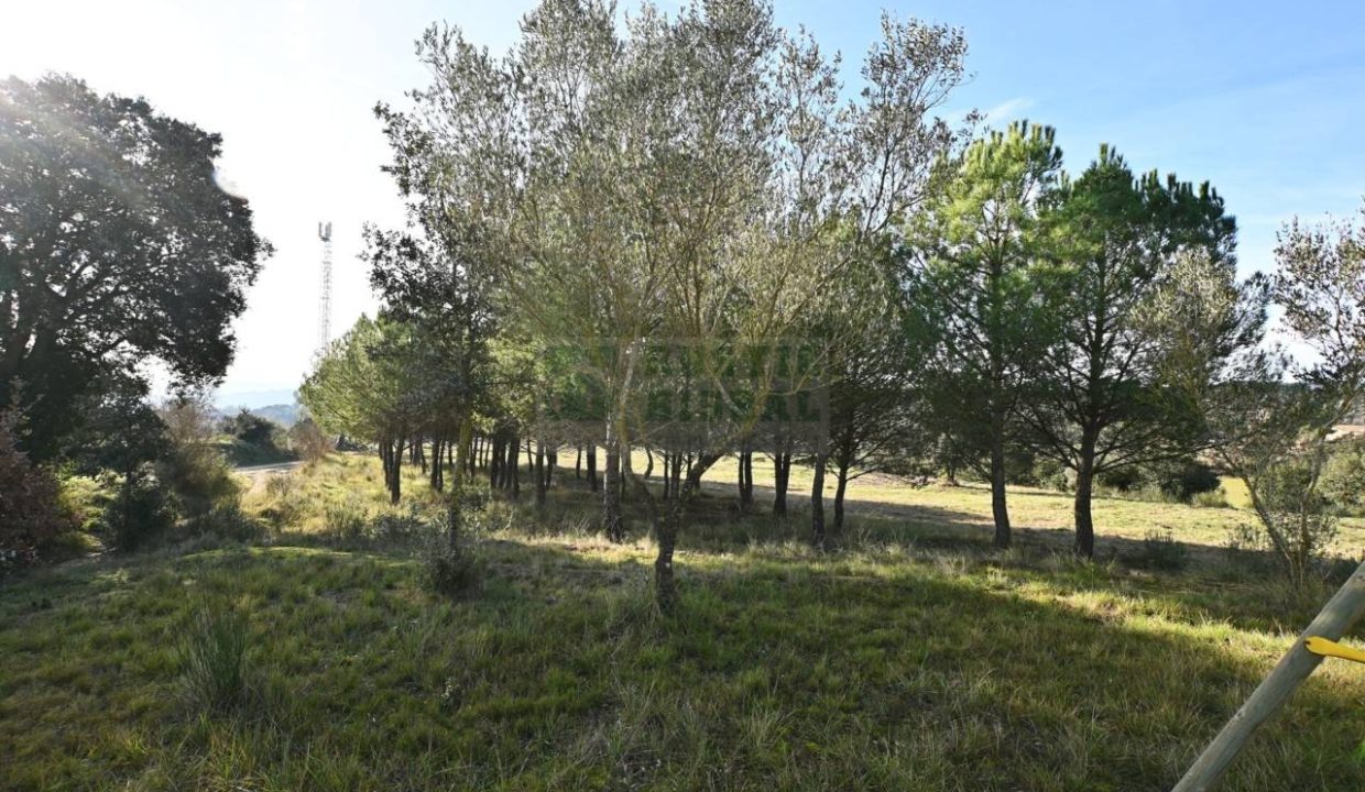 995275_60836045441_5738d3aa-aebb-4085-a201-48d6ed261dfa