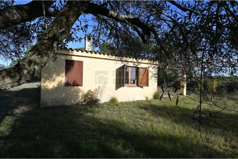 995275_60836045441_588cf3a6-8677-4f2a-954c-d81e36696b81