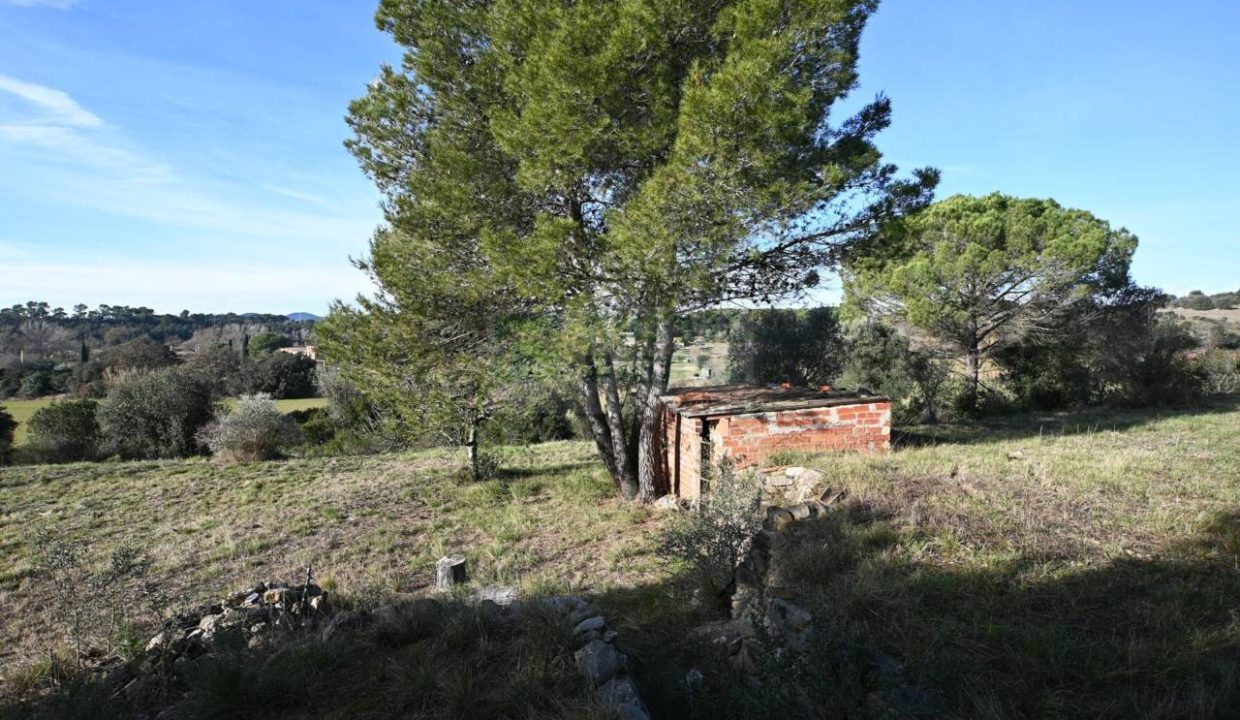 995275_60836045441_8714c8ec-5a87-4a7f-bb2f-c4da1aa3d916