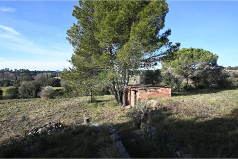 995275_60836045441_8714c8ec-5a87-4a7f-bb2f-c4da1aa3d916