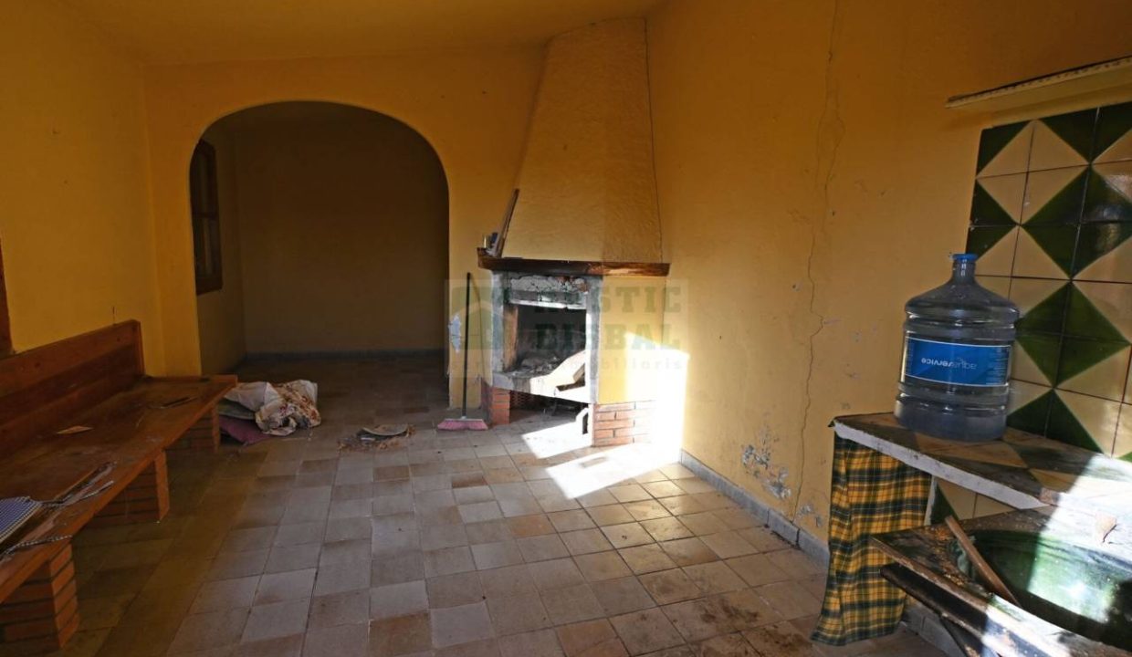 995275_60836045441_89d22f3c-4584-4d72-9762-da219d05e8ac