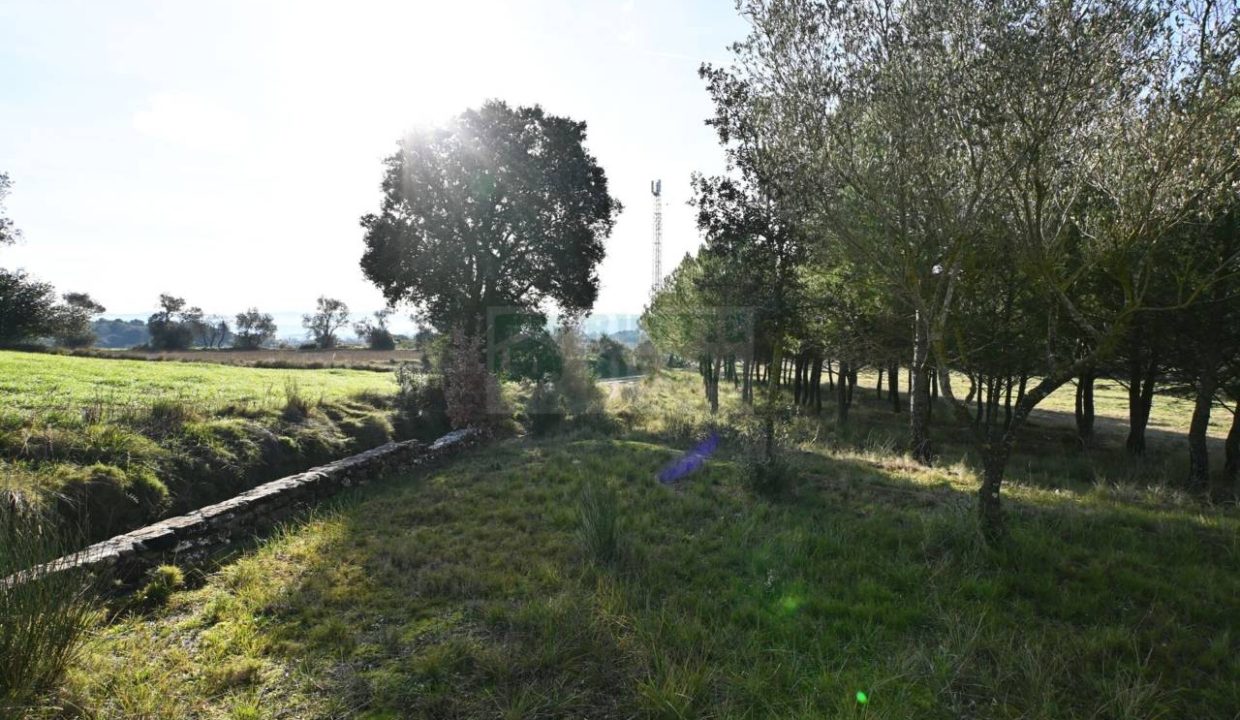 995275_60836045441_92ebc2de-3b7b-48a1-8601-f8d7522eaf78