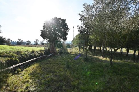 995275_60836045441_92ebc2de-3b7b-48a1-8601-f8d7522eaf78