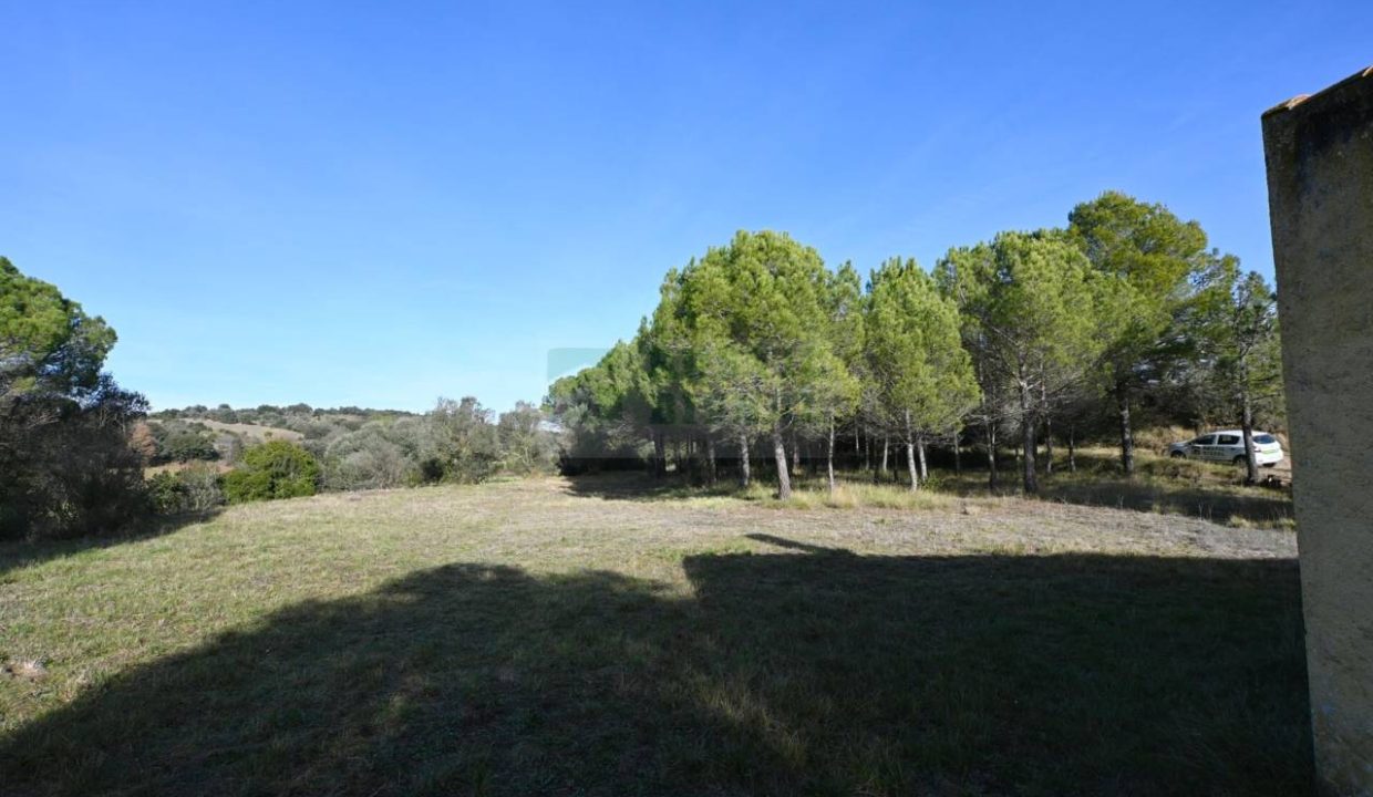 995275_60836045441_c22485a7-fac1-4a38-80d6-8f021c2bc7f9