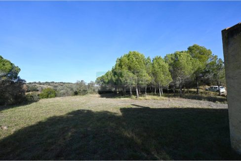 995275_60836045441_c22485a7-fac1-4a38-80d6-8f021c2bc7f9