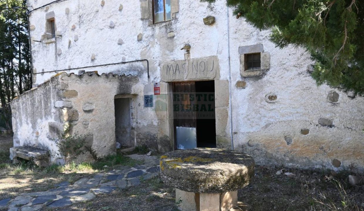 995275_60880693169_1d04359a-24fd-4dde-acf2-7b7c297b7149