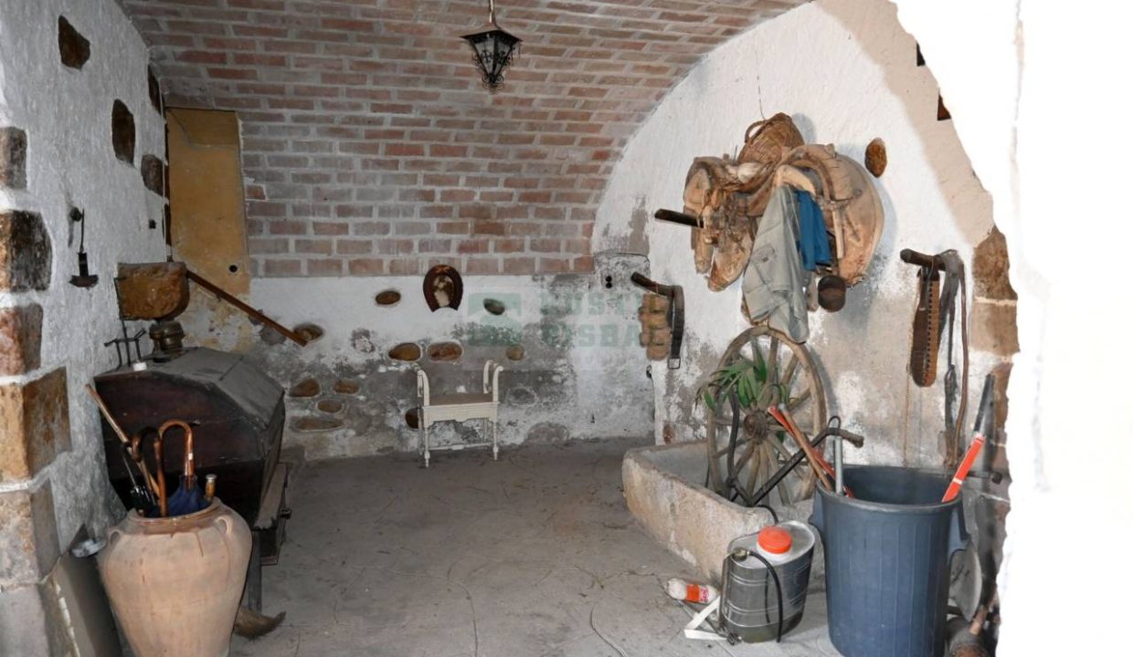 995275_60880693169_23a685a1-586d-4f71-96f4-e694956f1a3b