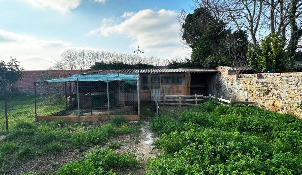 995275_61698905546_a4a353be-e5a2-419e-9049-77ea42884a3c