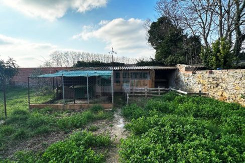 995275_61698905546_a4a353be-e5a2-419e-9049-77ea42884a3c