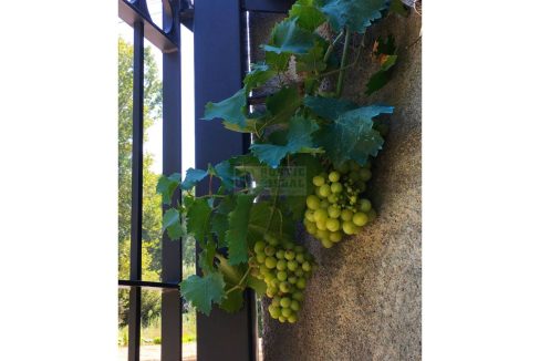 995275_61718455092_1ba8c232-8095-40ee-93b2-d969cd99237b