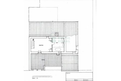 995275_61718455092_393dea46-8a0c-40a4-ba47-e4e406e1ceac