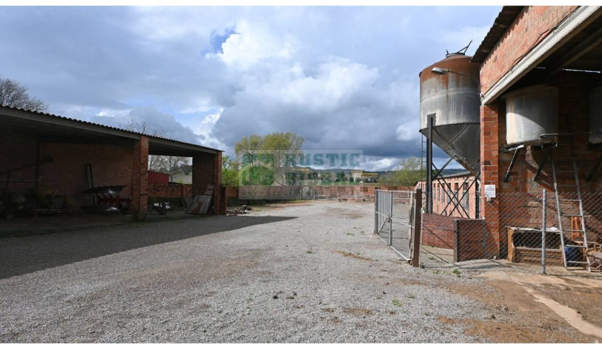 995275_62502238824_21a4e00c-b4a9-4ed7-99d5-4438734597ae