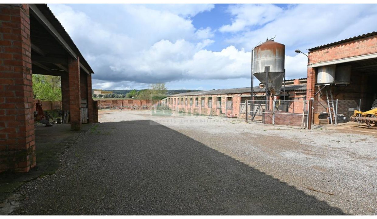 995275_62502238824_49b66108-d554-4a65-87e2-53b4e3e4c64b