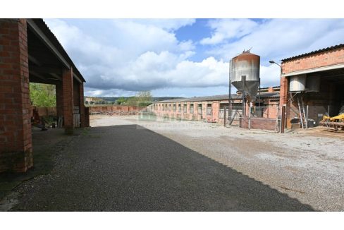 995275_62502238824_49b66108-d554-4a65-87e2-53b4e3e4c64b