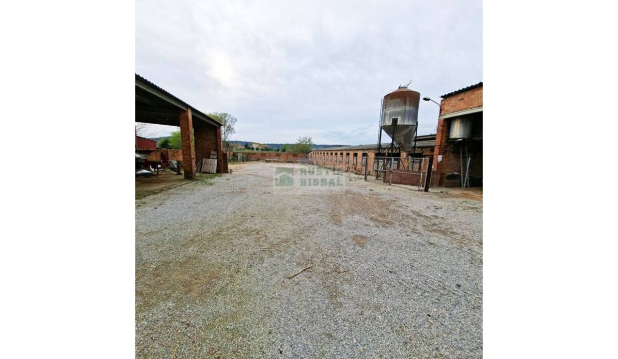 995275_62502238824_bf068bb5-d3dd-4062-8a13-af96ef293855