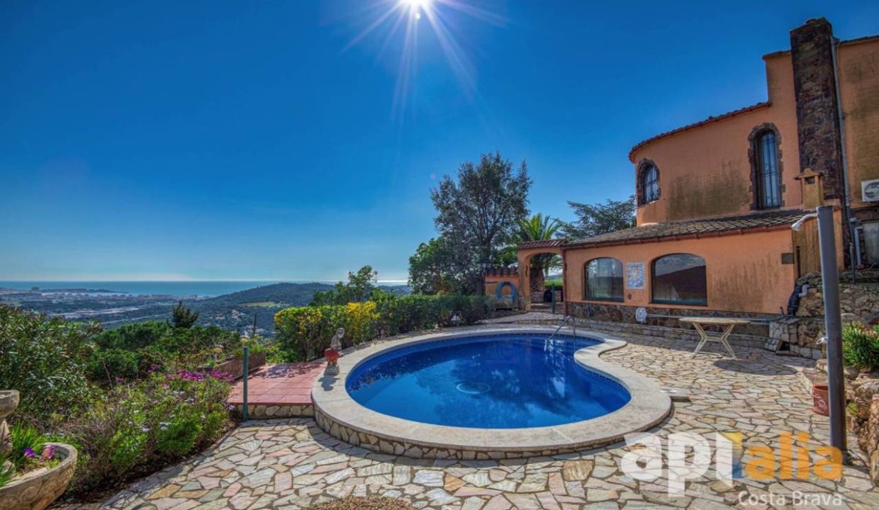 995275_62503585207_9ebeabff-ee41-4c8a-b89d-dff61fe78fa4