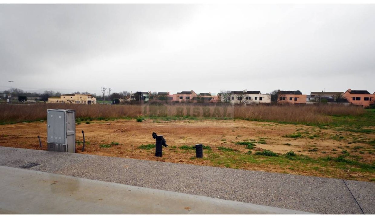 995275_62536109025_6c0e7fbb-1525-4bfd-b680-a7eda233fa01