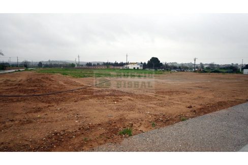 995275_62536109025_7d35e3f1-61f3-47bf-a778-557967cd7f26