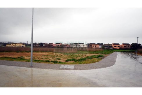 995275_62536109025_d4738112-8fbd-4463-a1d7-39f4c39bd5a5