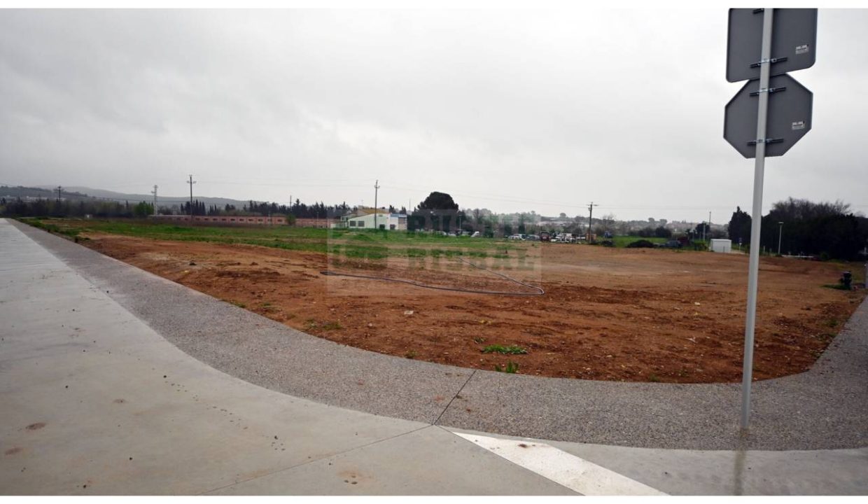 995275_62536109025_d8295f72-dcf2-41f9-b82b-2d695f5c9ad2