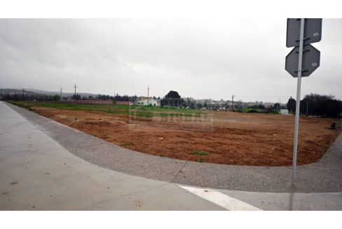 995275_62536109025_d8295f72-dcf2-41f9-b82b-2d695f5c9ad2