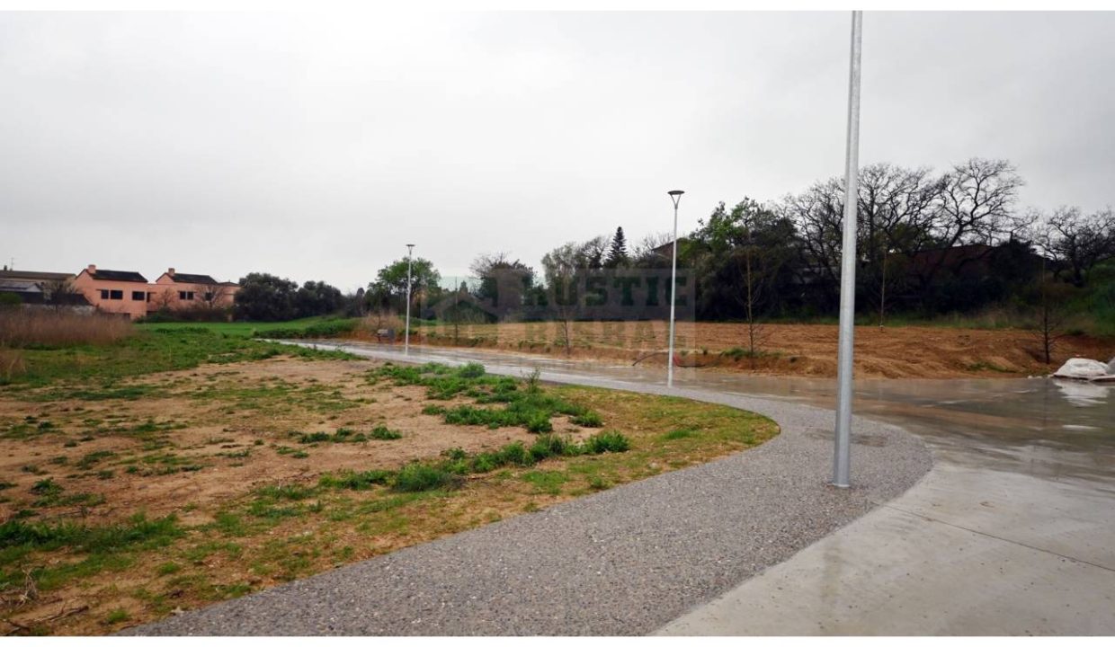 995275_62536109025_f71e30bf-bf3f-498c-bead-31d8e274727b