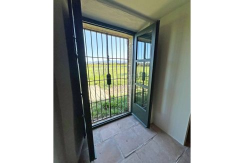 995275_12527711292_ff233ba2-0fb2-43c4-9062-0e0e64a245a5