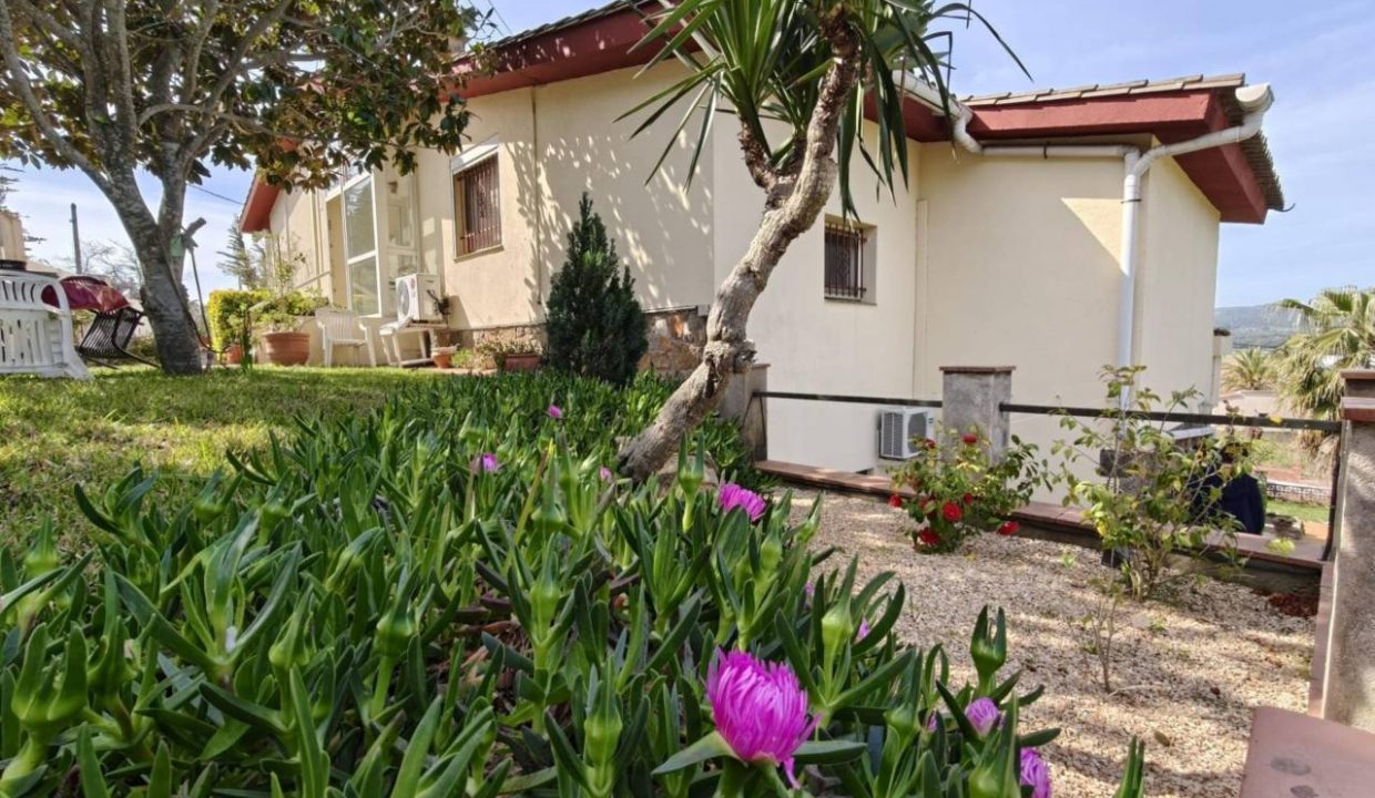 995275_63406128219_7962a69d-5cde-4e2c-b6f0-d9a9cc9c1860