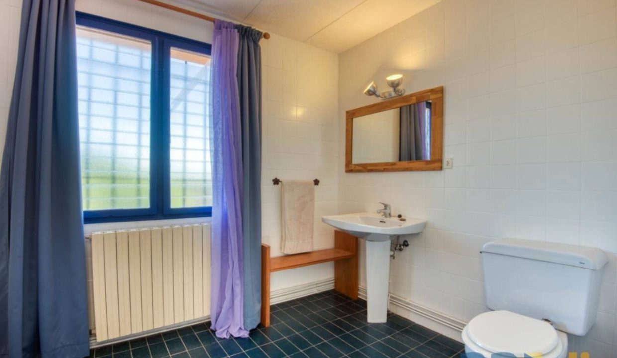 995275_63410154823_9ff28188-3e07-44a0-a0a3-e1338829d46c