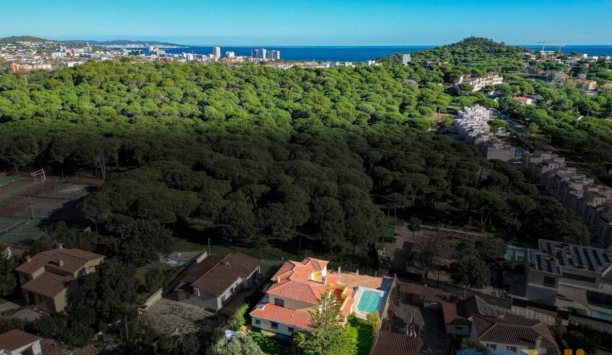 995275_63410154823_c46df08f-5a7a-43e8-b862-3449b32a35d0